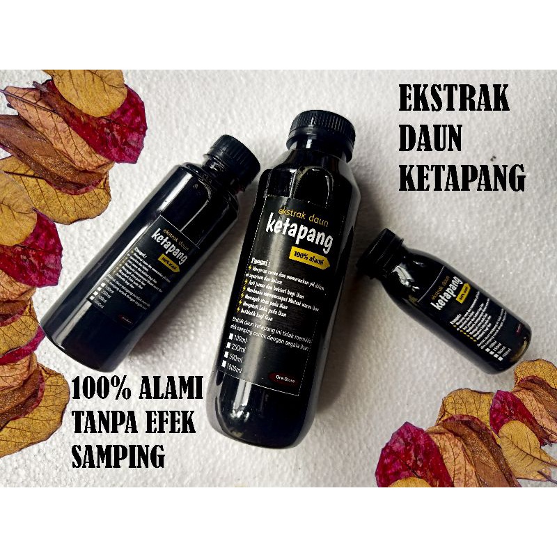 Ekstrak Daun Ketapang 100ml Untuk Ikan Chana Cupang Dll