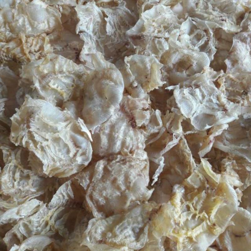 Yi Phiau Gelembung Ikan Manyung Hipio Belly Fish -Mentah