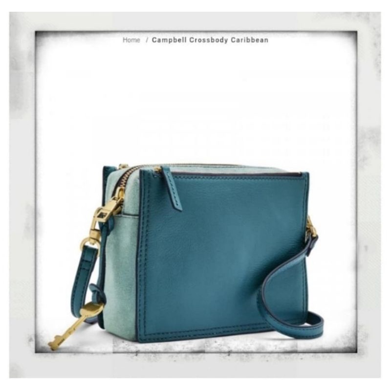 Tas Fossil campbell (SOLD)