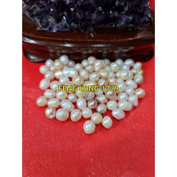 Biji Butiran Mutiara Asli