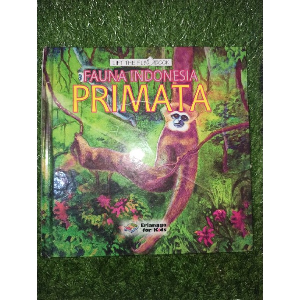 buku cerita anak - LIFT FLAP BOOK - FAUNA INDONESIA PRIMATA (preloved)