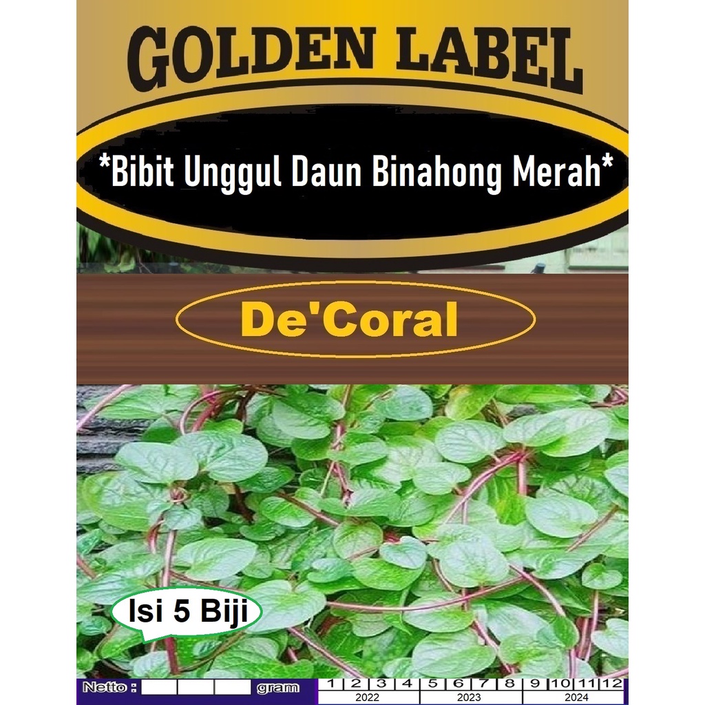 Bibit Daun Binahong Merah | Biji Benih Binahong Merah | Daun Binahong Merah