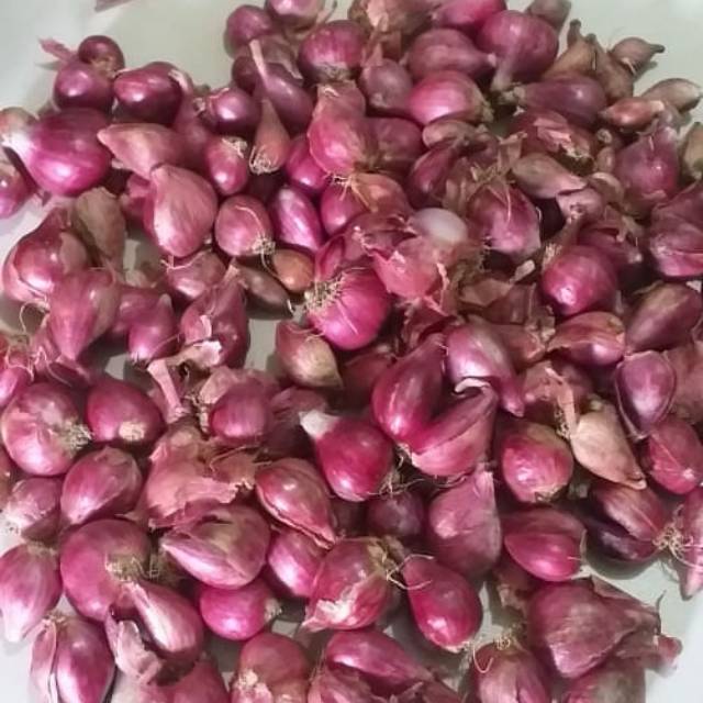 

Bawang merah Brebes