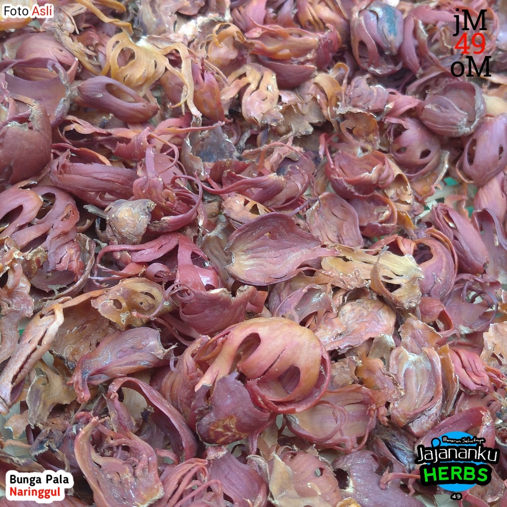 

Ay00! 500gr Bunga Pala 100% Kering Matahari Sempra Puli Mace Whole Kembang Pala Fuli