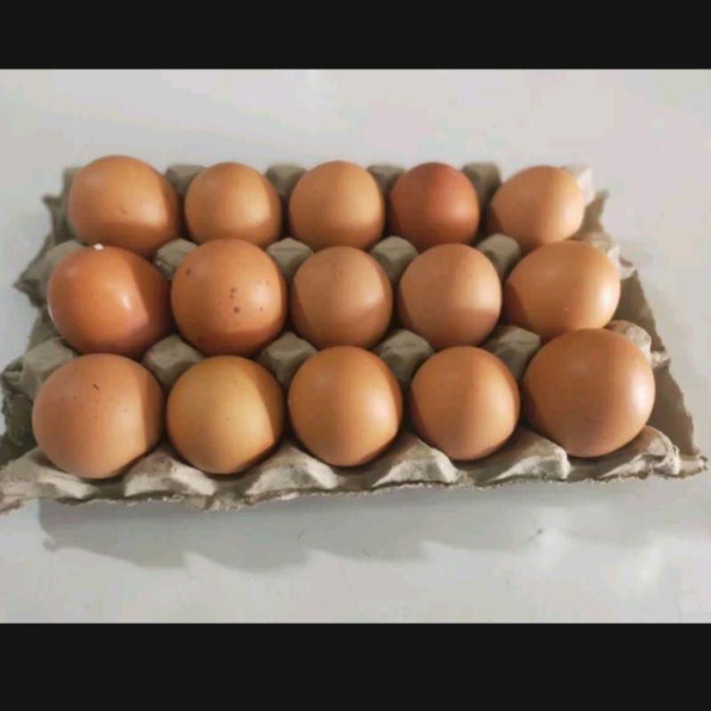 

TELUR AYAM NEGRI BERKUALITAS FRES GRADE A 1KG