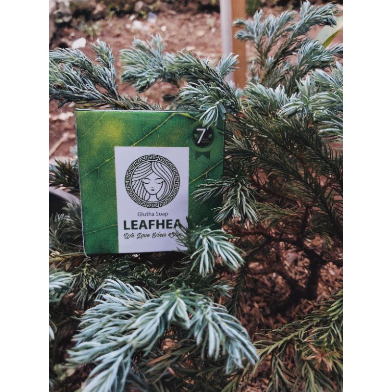 sabun pembersih sabun glutathione leafhea