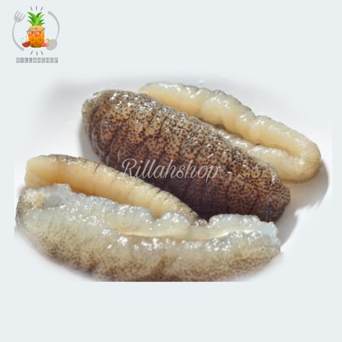 

Teripang Susukoro| Timun Laut | Sea Cucumber | Hoisom 250 Gram