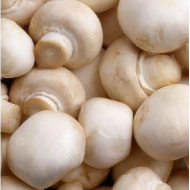 

Diskon Jamur Champignon 500gr Diskon