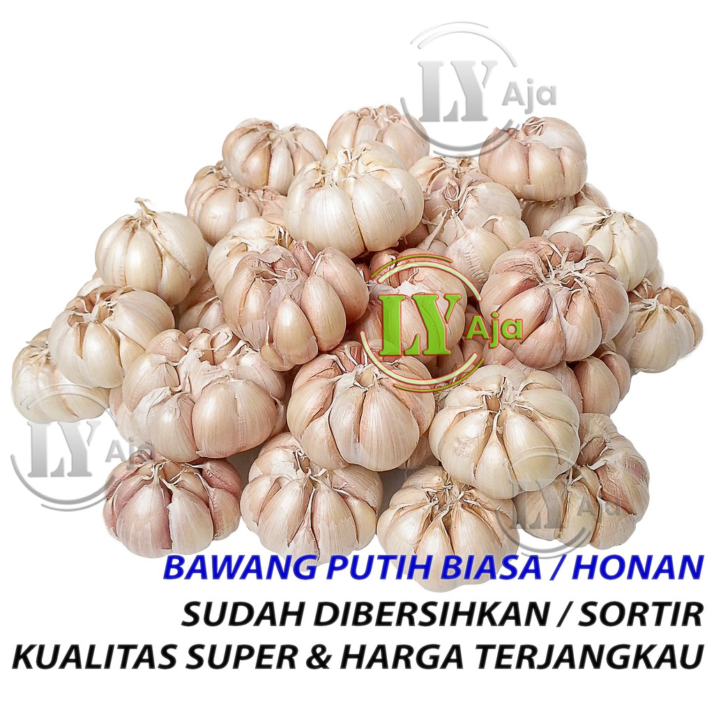 Bawang Putih Biasa Honan 500 Gram BERSIH dan KOTOR Kualitas Super LY Aja 500 Gr