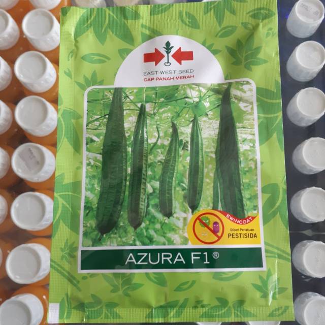 Benih Oyong Azura F1