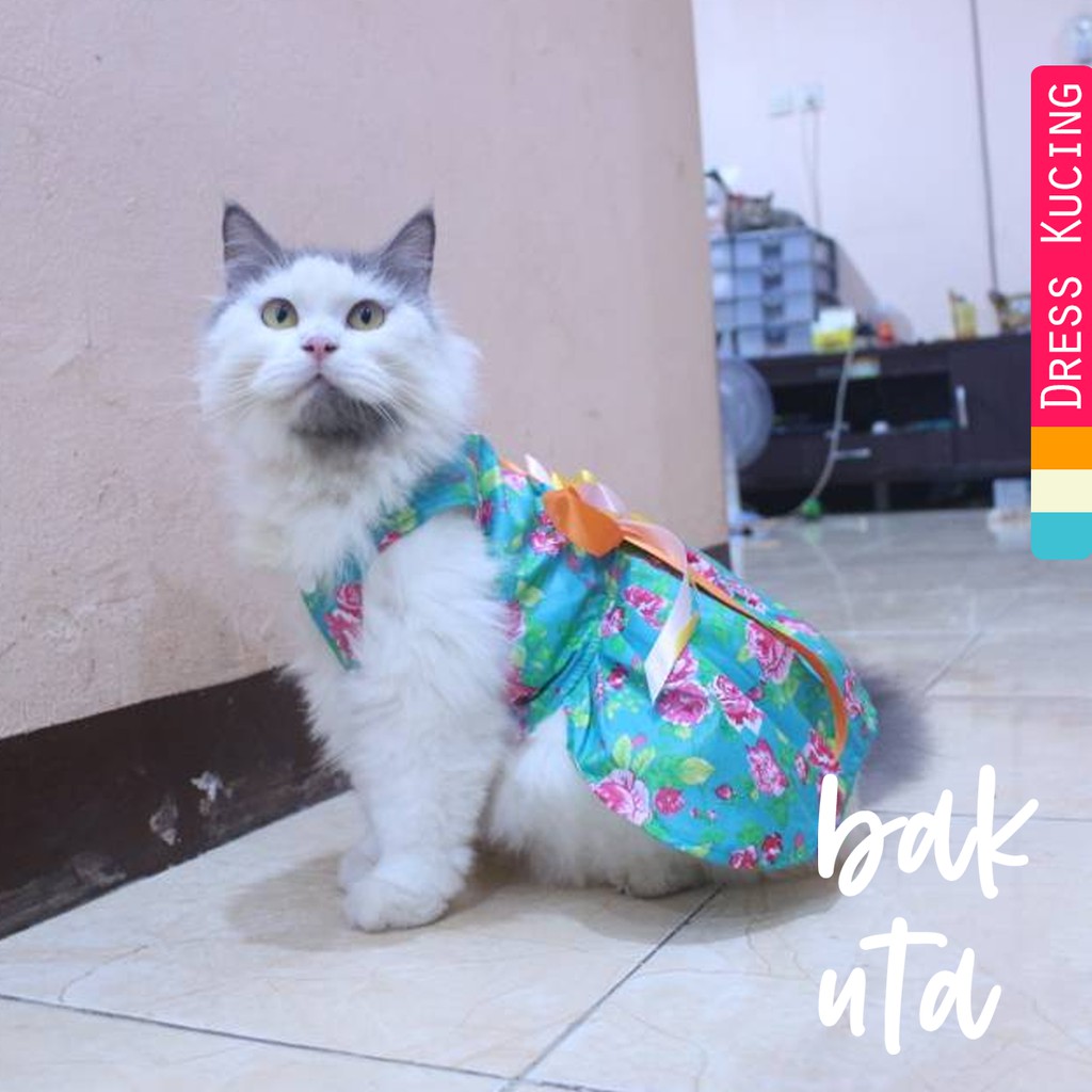 Dress ala korea lucu untuk kucing dan anjing / baju kucing murah size S-XL