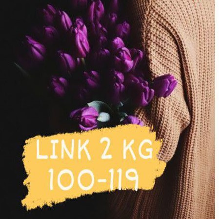 LINK 2KG 100-119