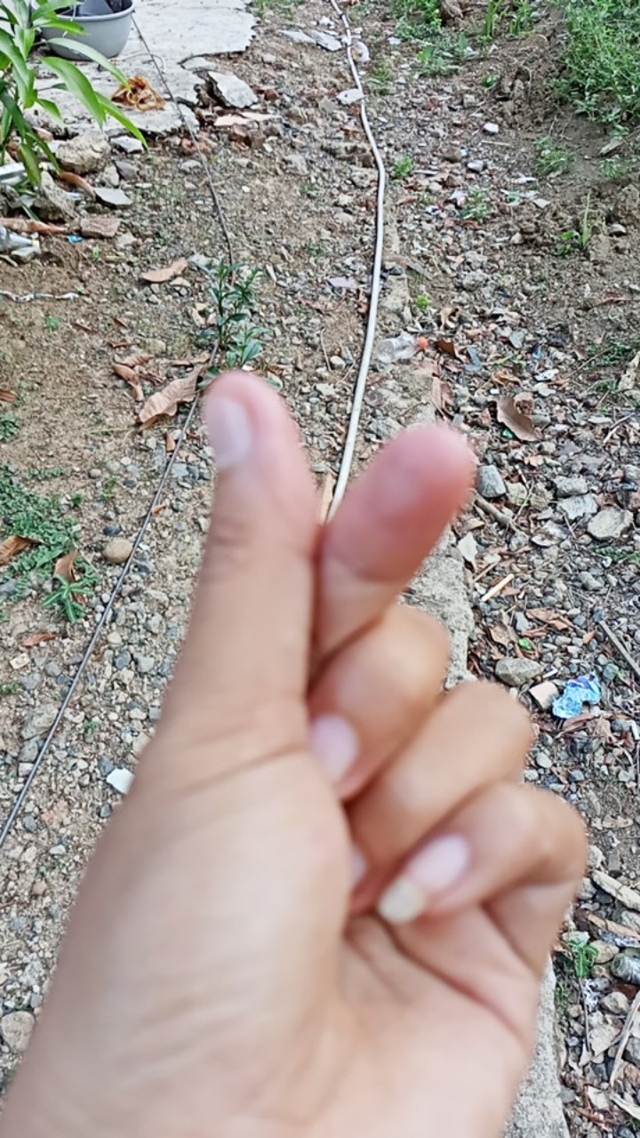 Sprei Motif Bunga Uk 120, 160, 180, 200