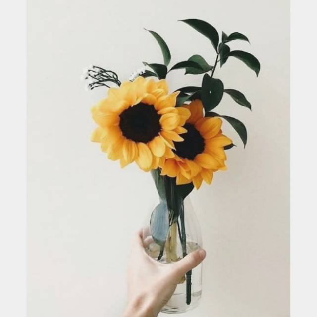 amanahonlineshopstore