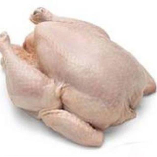 

Ayam Potong