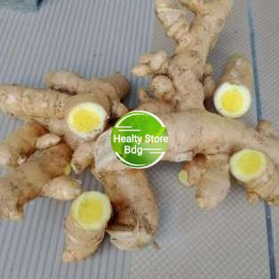 

Kunyit temu putih segar curcuma paket 500 gram