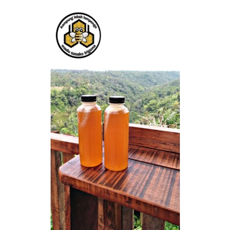 

MADU TRIGONA LOMBOK murah