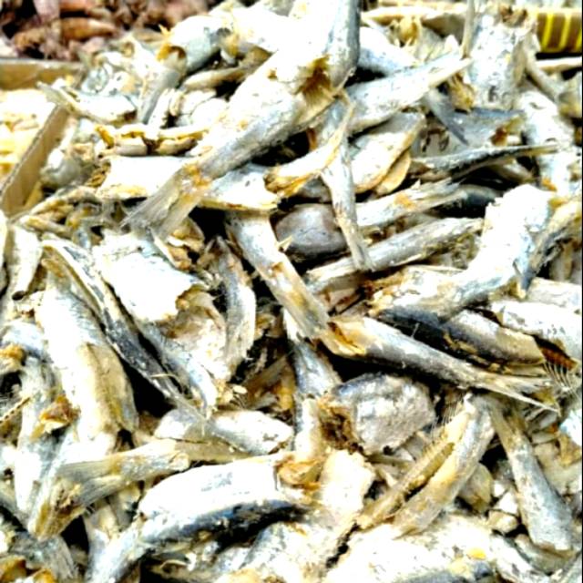 

Ikan sampah daging sampah japu tanjung balai medan 1kg