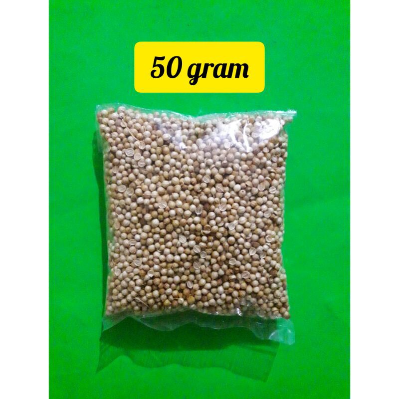 

Ketumbar biji 50 gram ( cucian)