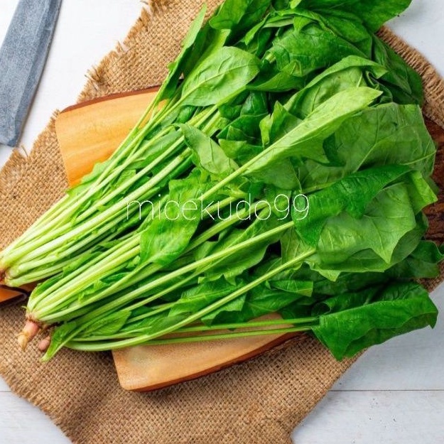 

HORENZO BAYAM INGGRIS / JEPANG HORENSO DAUN POLING ENGLISH SPINACH