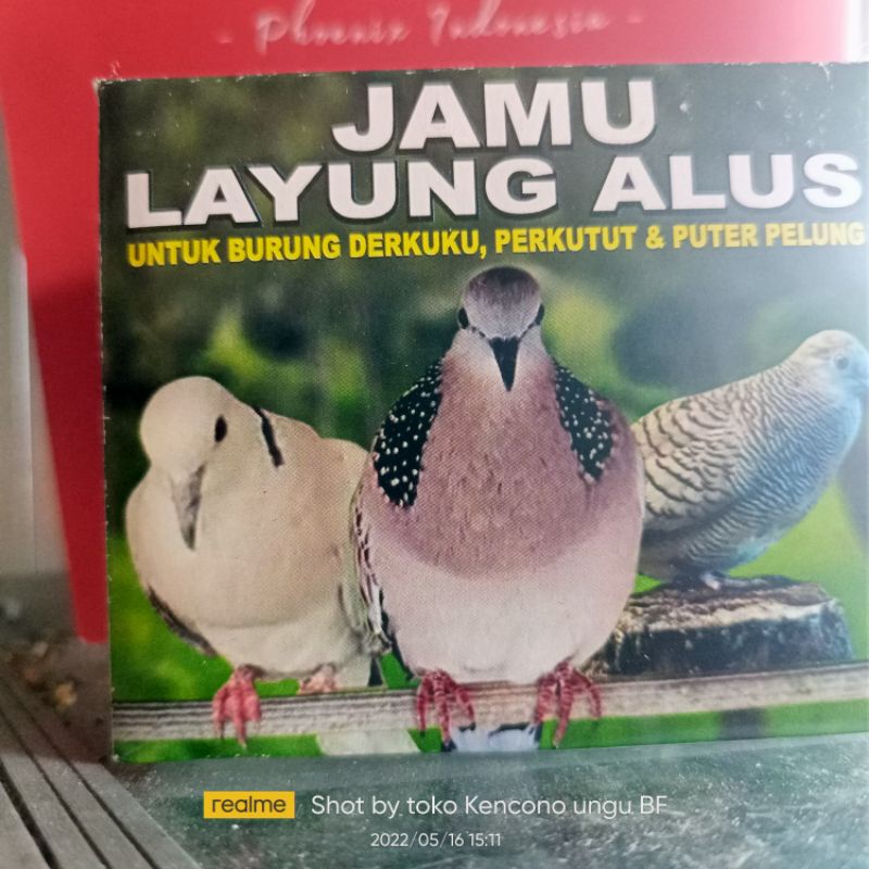 layung alus jamu pil perkutut derkuku puter pelung