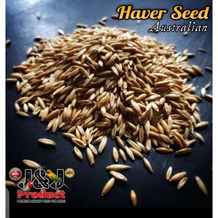 

Haver seed polos non kupas 1 kg