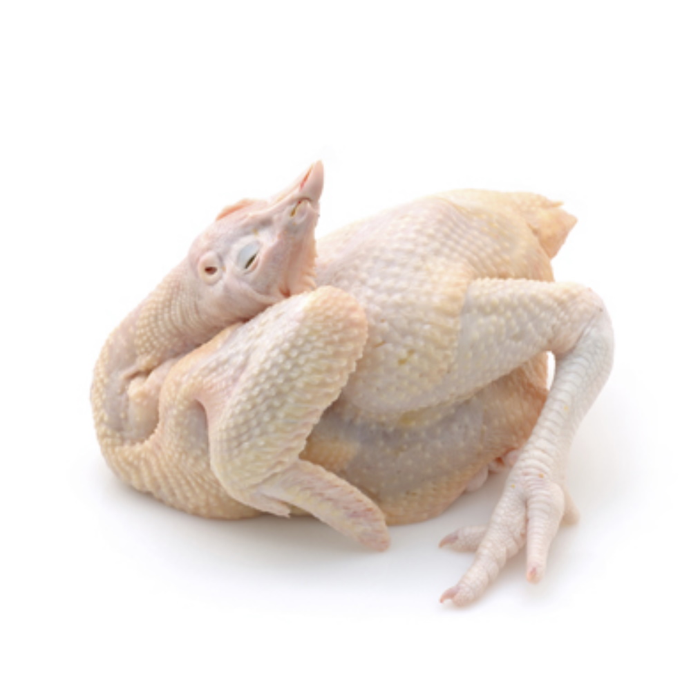 

Ayam Potong Segar 1.9Kg (bukan FROZEN)
