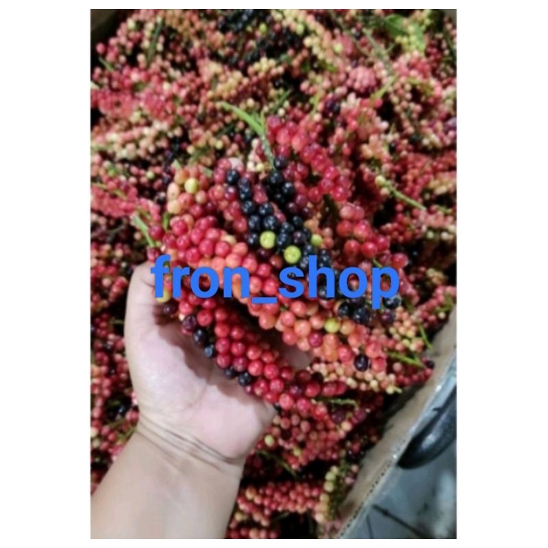 BUAH HUNI BUNI SEGAR | BUAH WUNI PERPAK
