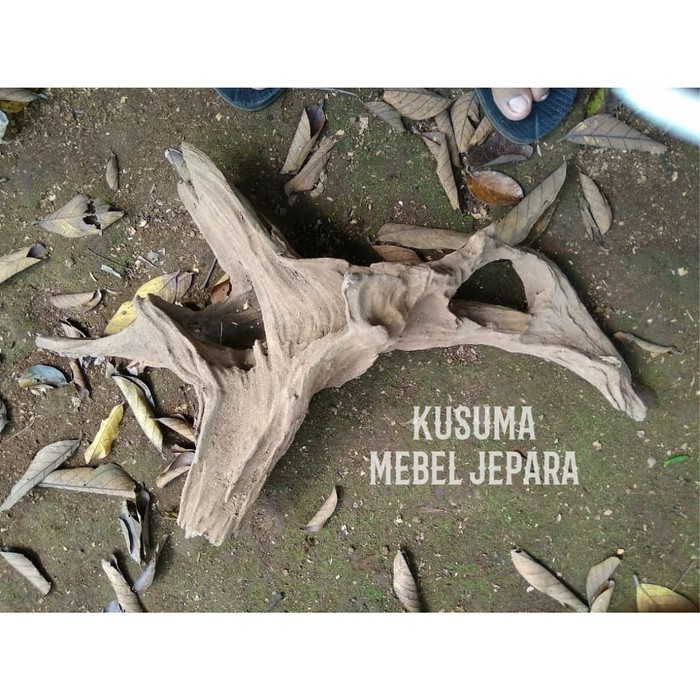 Bahan Aquascape Akuarium Akar Kayu Jati Solid No.10 (Panjang 40cm)