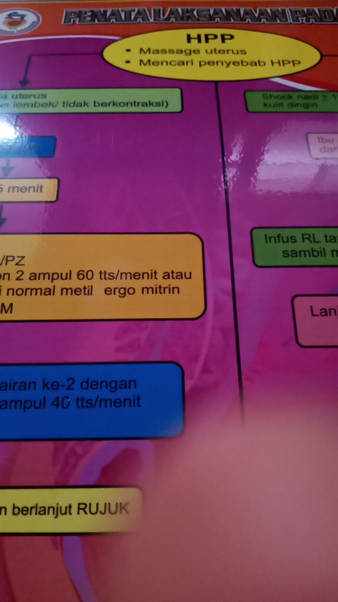 Poster Penatalaksanaan Atonia Uteri Dan Penatalaksanaan Pada Hpp