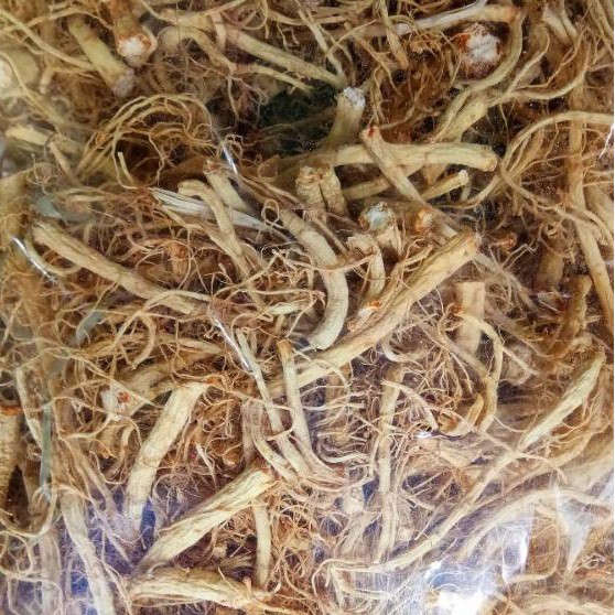 

Som Chiu Akar Ginseng 50 gr