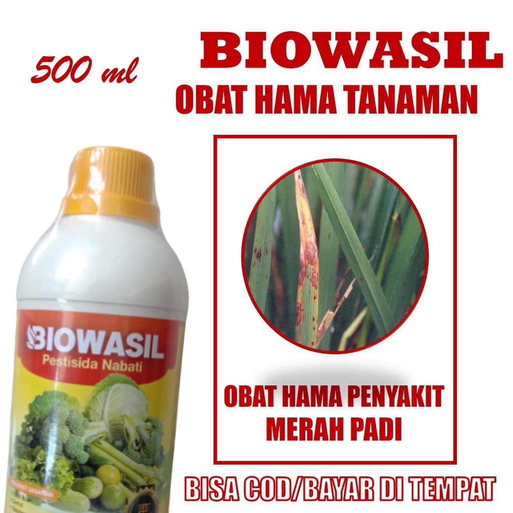 PROMO MURAH Pestisida Semprot Atasi Merah Daun Padi, Obat Merah Daun Padi Terbaik, Obat Hama Merah D