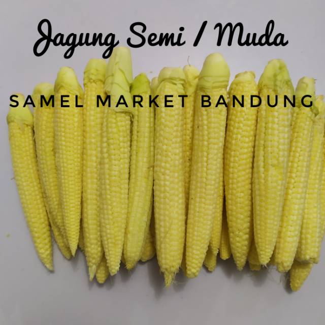 

Jagung Semi Segar / Jagung Muda Segar 500 gr