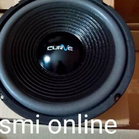 ✾ Speaker 10 inch woofer acr curve 300 watt ۩