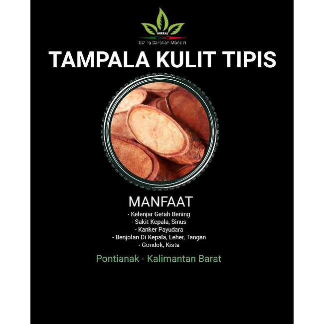 

TAMPALA KULIT TIPIS AMPUH UNTUK SEGALA BENJOLAN DI BADAN