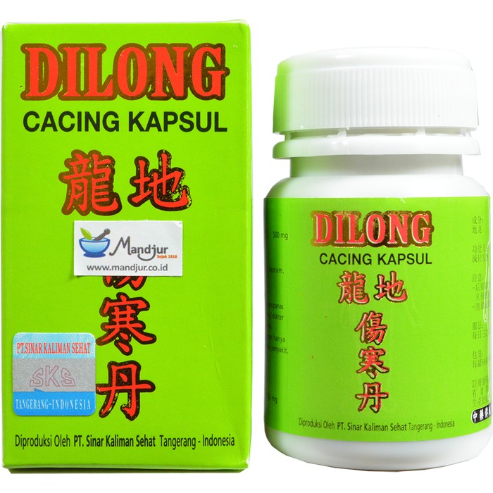 Dilong (Cacing Kapsul) - Mengobati Tipes