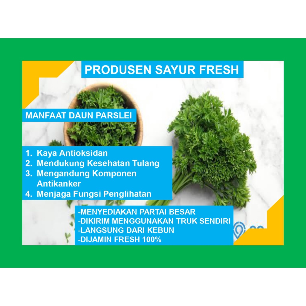 

Daun Parslei Fresh Langsung Dari Petani