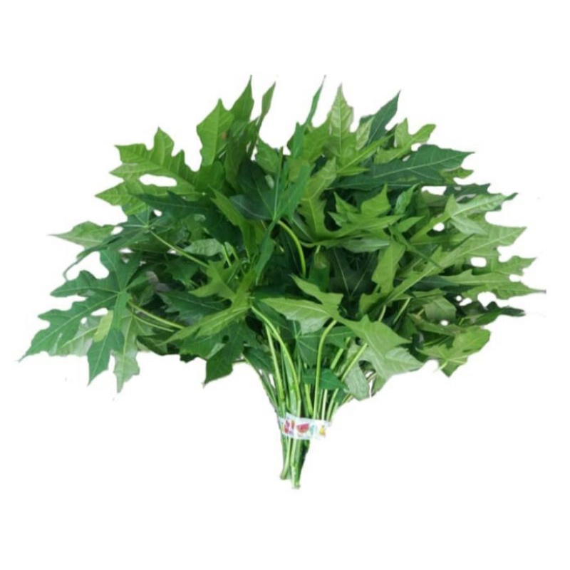 

Daun pepaya Jepang 1 ikat