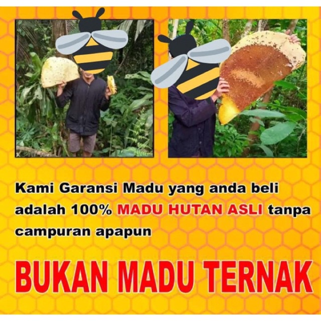 Madu Hutan Asli / Madu Murni sumbar [ COD ]