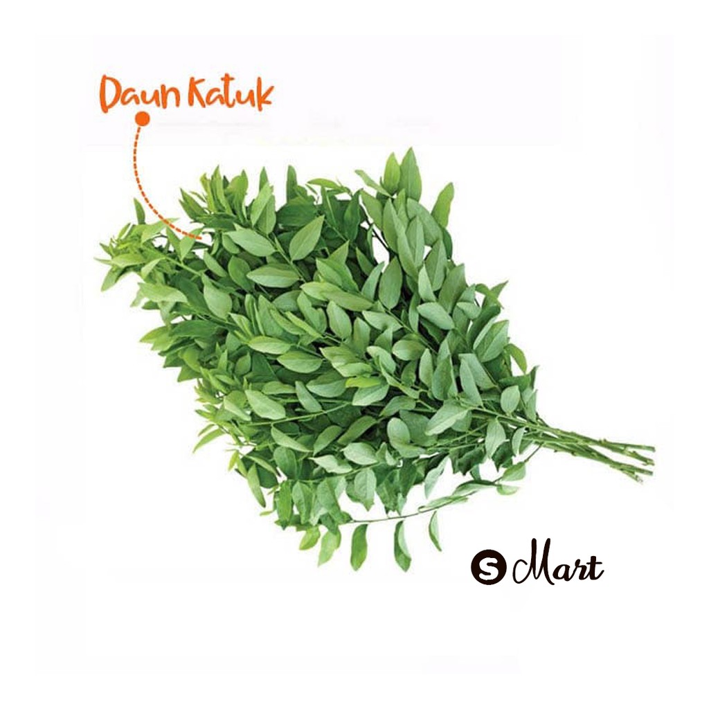 

Daun Katuk [1 ikat]