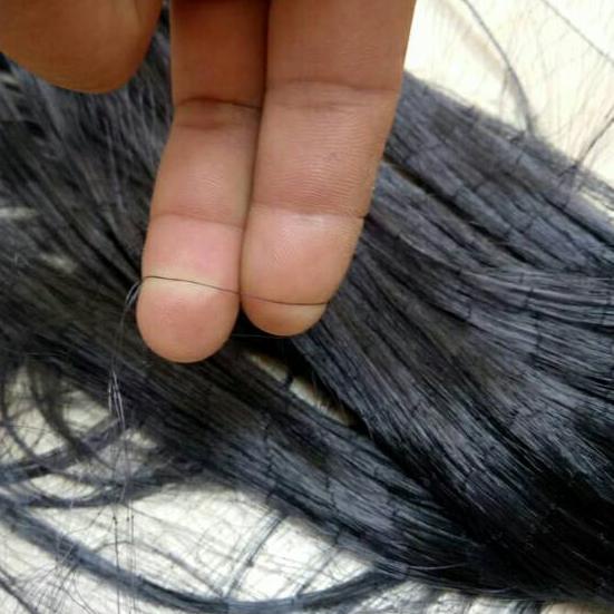 Jaring burung hitam lebar 4 meter tambah 2 benang.