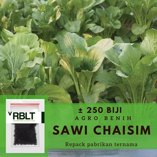 Jual Bibit Sawi Caisim Manis Shinta Benih Sayuran Hidroponik Cap