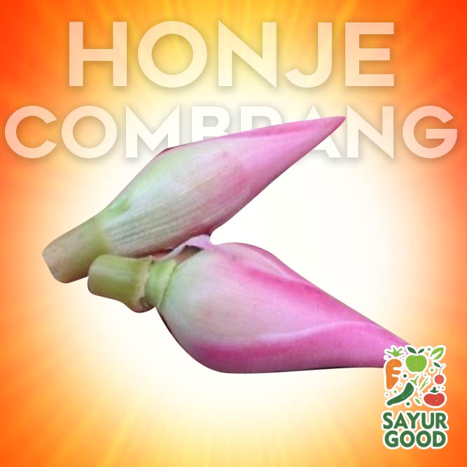 

Bunga Kecombrang Segar / Combrang / Rombeh Honje / 250gr