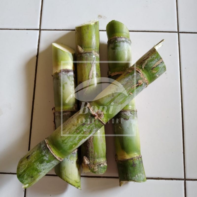 

Tebu Hijau Manis Segar Dadakan 500gram