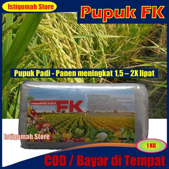 TERLARIS Pupuk FK 1 Kg - Pupuk Padi Panen meningkat 1,5 – 2X lipat - Pupuk Padi Sawah Terbaik - Pupuk Padi Pelebat Buah Paling Bagus - Pupuk Padi Organik - Pupuk Penguat Batang Padi Panen lebih cepat, untung di waktu sekitar 7-15 hari lebih cepat