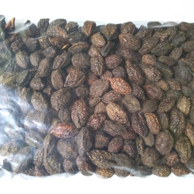 

Biji Jokeling Kering 1kg - Biji Tempuyang Mojokeling - Biji Majakeling - Biji Jo Keling - BIJI TEMPUYANG utk herbal kewanitaan