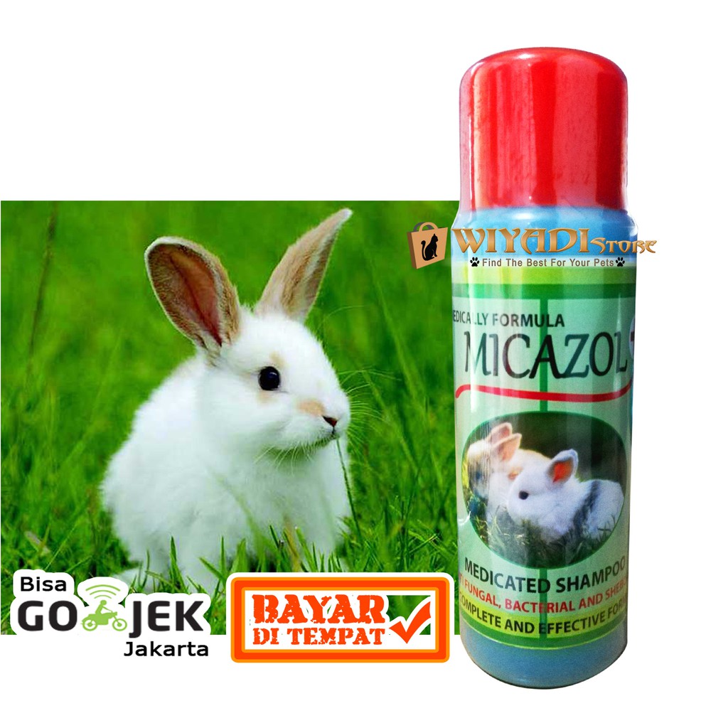 Shampoo Kelinci Anti Kutu Tic &amp; Flea - Micazol Kelinci