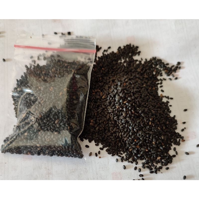 

Biji selasih 30gram