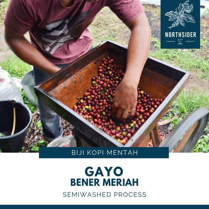 

KOPI ARABIKA ACEH GAYO SEMI WASHED - BIJI KOPI MENTAH NORTHSIDER