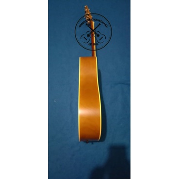 GitarAkustikCortCustom